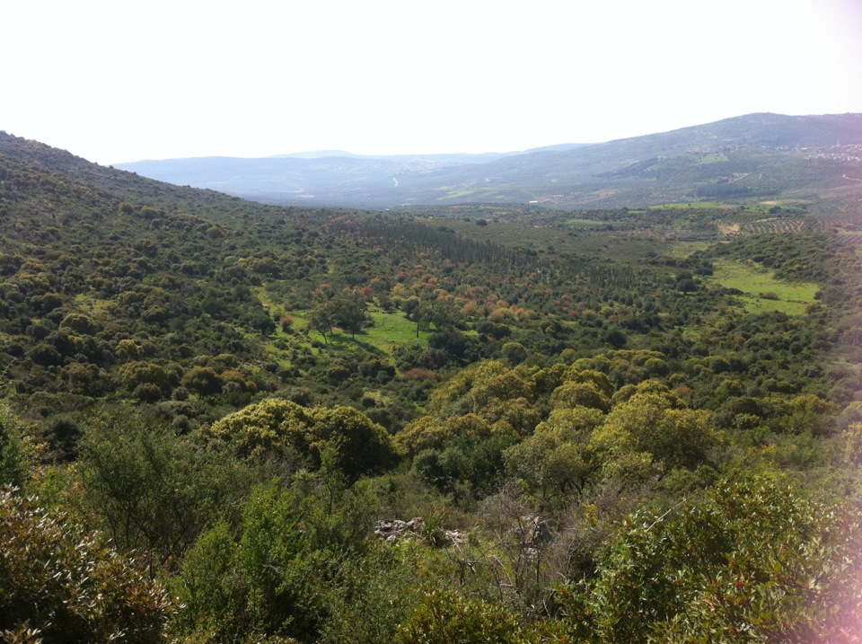 panorama of hills in Galilee