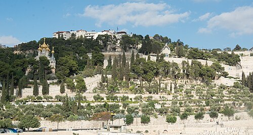 panorama of the Mount of Olives