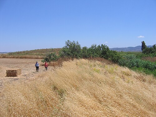 panorama of Tell Thorah