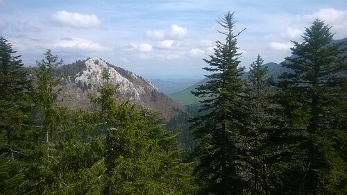 panorama of a natural area in Dalmatia
