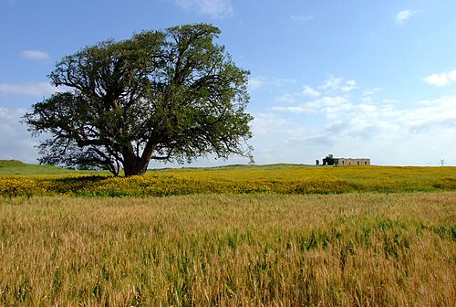 panorama of Tel Ashdod