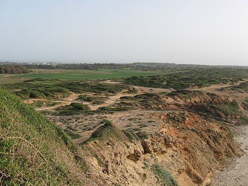 panorama of an area on the coast in the Sharon Plain