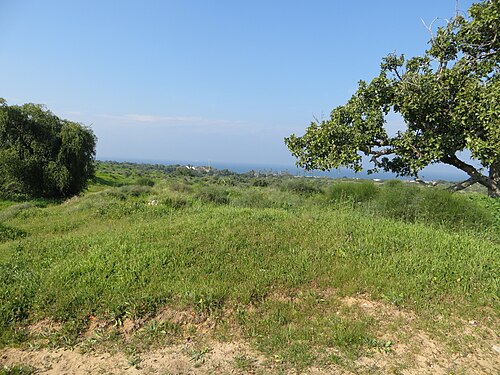 panorama of a coastal plain in Philistia