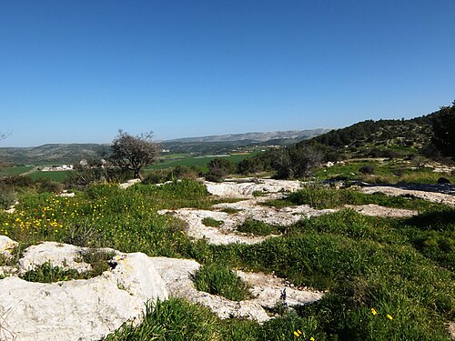 ruins at Tel Socho
