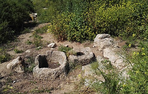 ruins at Tel Miqne