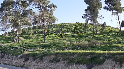 panorama of Tel Halif