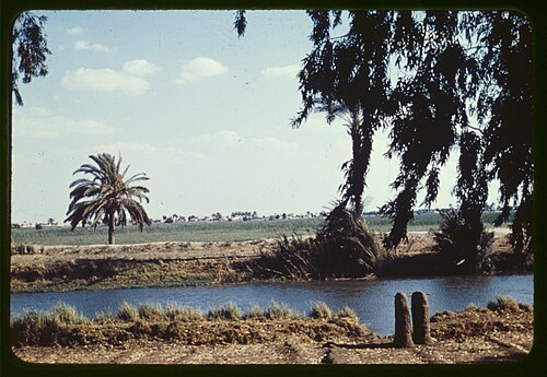 panorama of Tell el Maskhuta