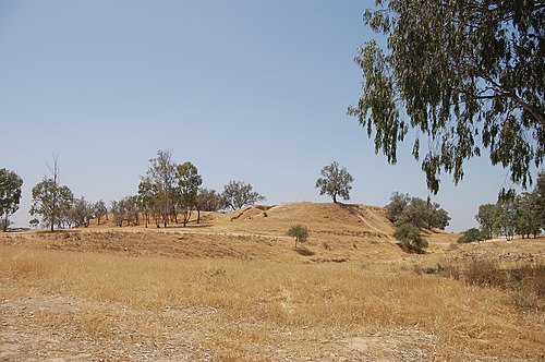 panorama of Tel Haror
