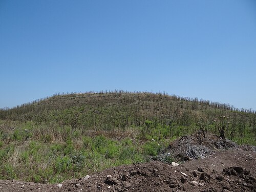 panorama of Tel Shadud