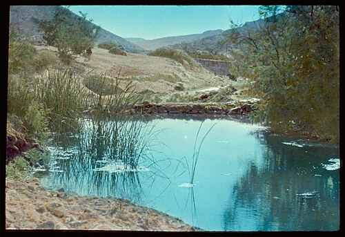 pool at Ain el Qudeirat