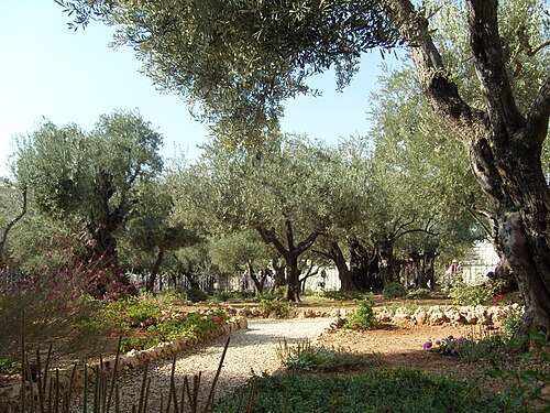 park at Gethsemane