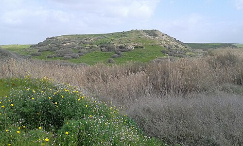 panorama of Tell esh Sharia