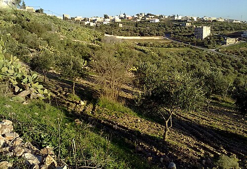natural area in Hauran