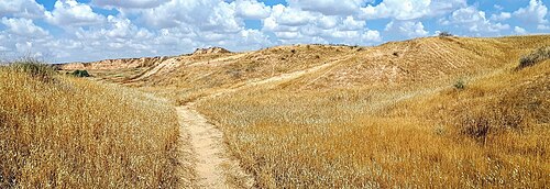 panorama in the region between Gerar and Beersheba