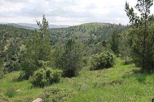 panorama of hills in Judea 1
