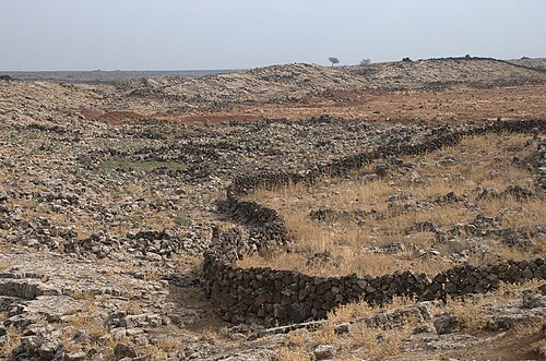 panorama of a plain in the Argob