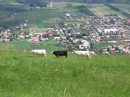 panorama of a region including Tel Yin’am, which is just behind the radio tower and trees at the top left