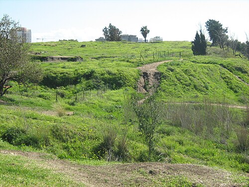 panorama of Tel Gerisa