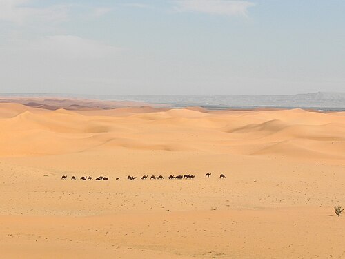 desert in the Arabian Peninsula