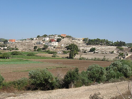 panorama of Tel Alil