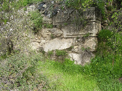 ruins at Qalunya