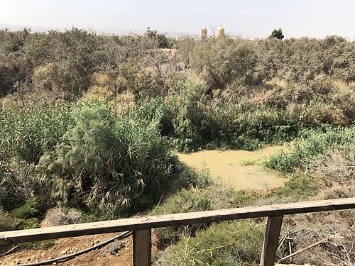 closeup of the Jordan River somewhat by the Dead Sea
