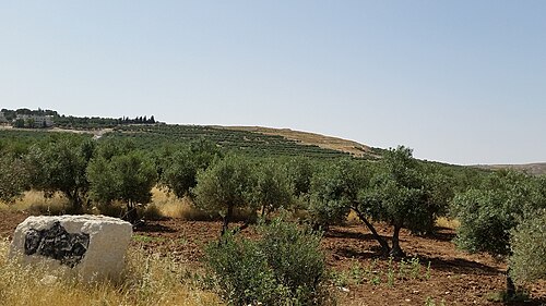 panorama of Khirbet Teku’a, which is in the distance at center