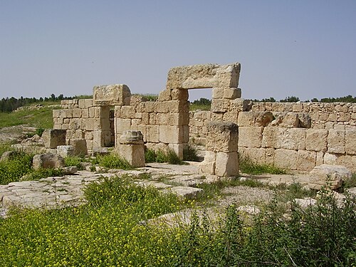 ruins at Horbat Anim