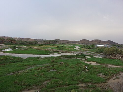 closeup of Wadi Baysh