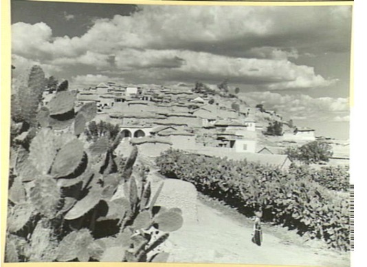 historical cityscape of Al Maghar