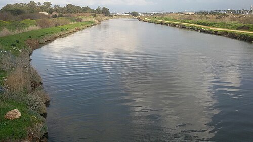 closeup of the Kishon River