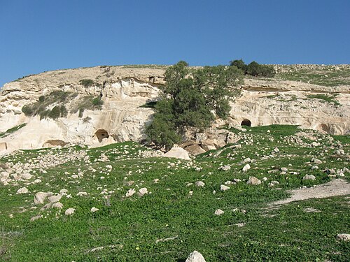 panorama of Tell es Safi