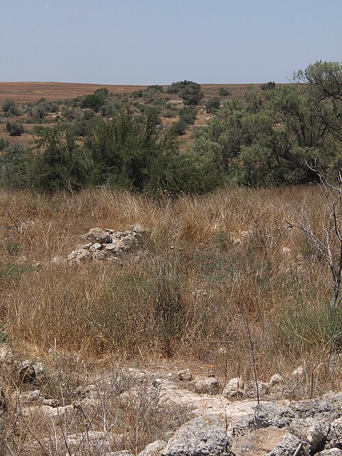 panorama of hills in the region between Lachish and Gath