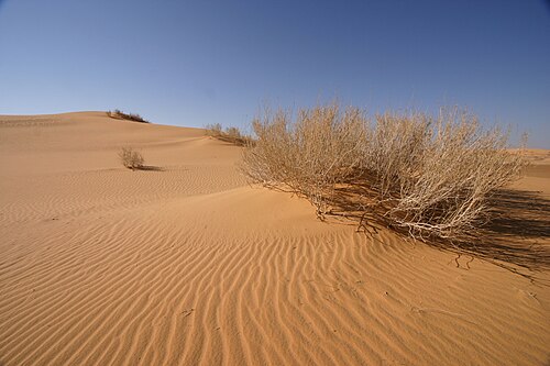 panorama of a desert in Massa