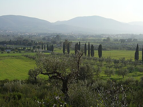 panorama of a natural area in Etruria