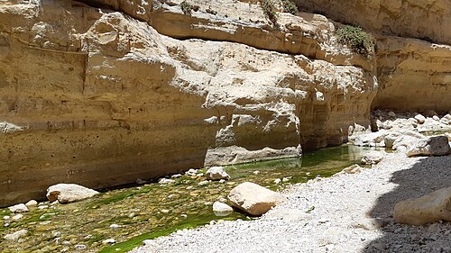 closeup of Wadi el Arrub