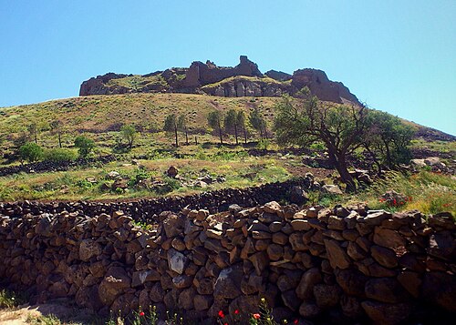 panorama of Salkhad