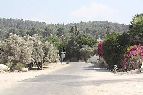 road in the region between Eshtaol and Zorah